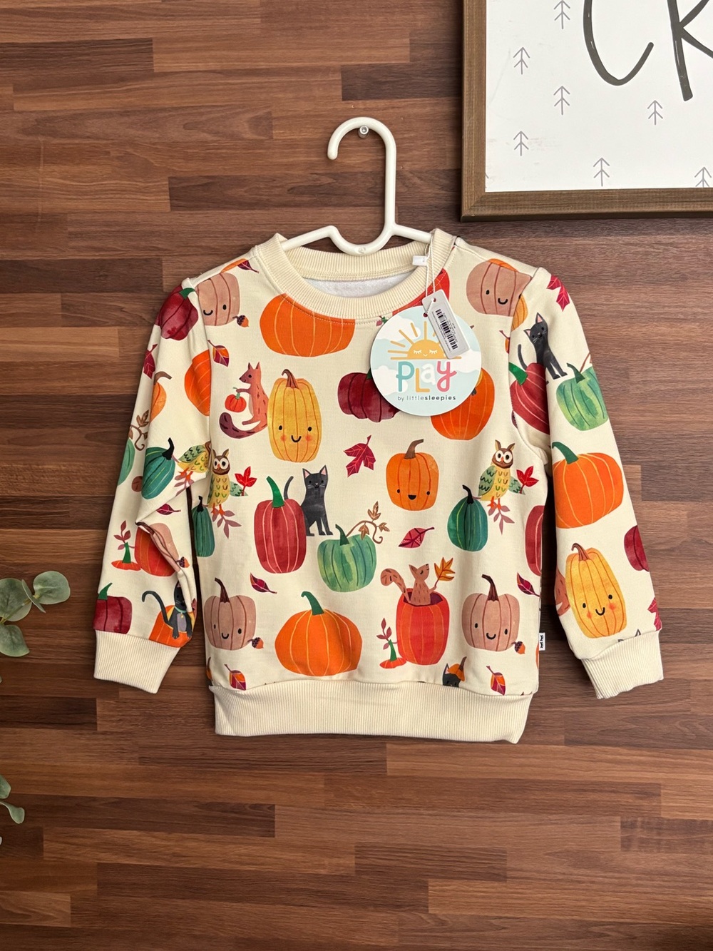 🍁Little Sleepies Pumpkin Pals Sweatshirt 18-24